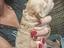 Immagine 3