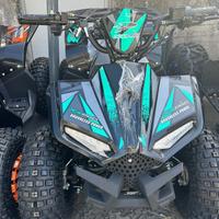 Quad 1000 watt 48 elettrico