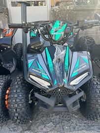 Quad 1000 watt 48 elettrico