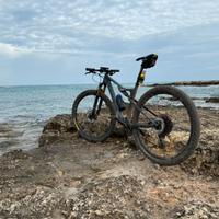 Bicicletta