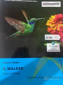 Fisica Il walker 1