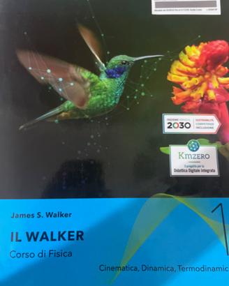 Fisica Il walker 1