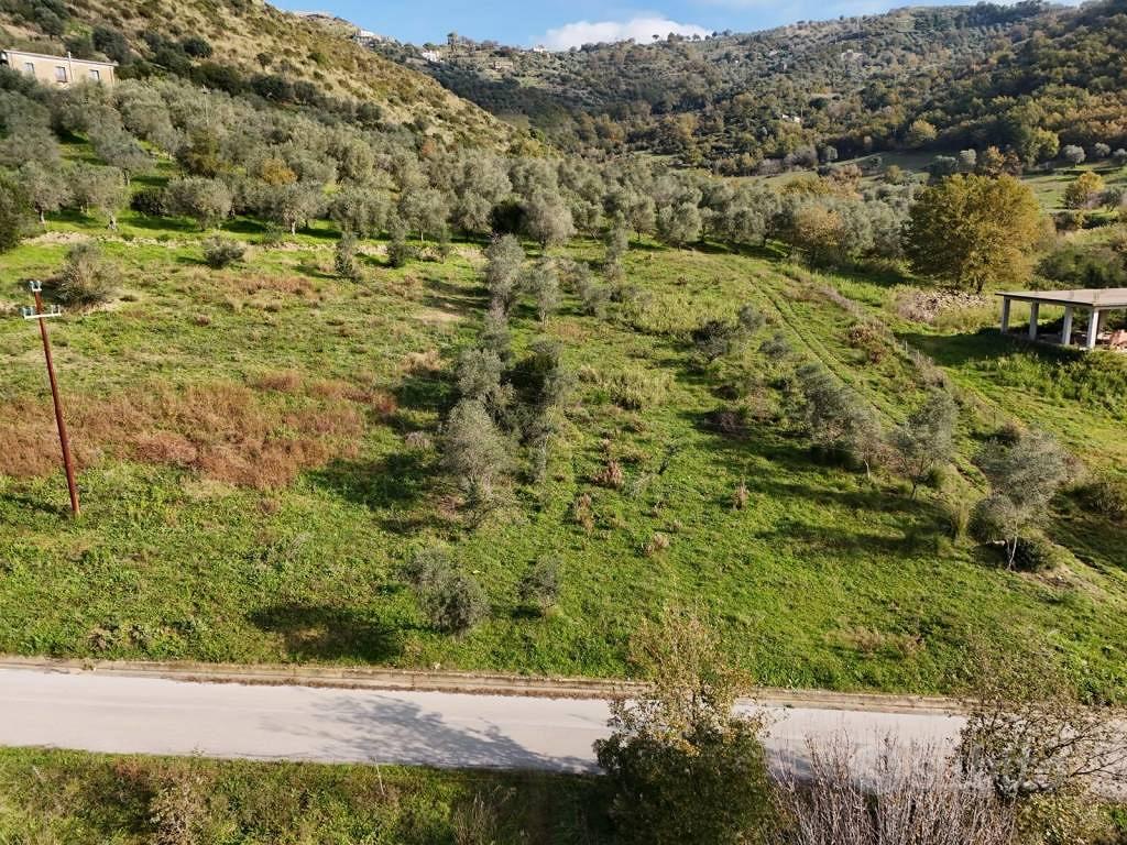 Terreno di 10500 m² a Perdifumo - Vista 4