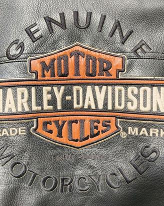 Giubbotto Harley Davidson in pelle taglia L