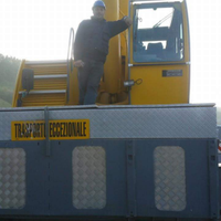 Autista C+E , gruista , elettricista,