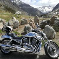 Harley-Davidson V-Rod - 2005