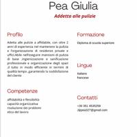 Addetta alle pulizie