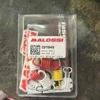 Mollette della frizione malossi