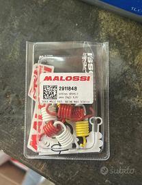 Mollette della frizione malossi