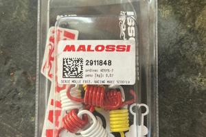 Mollette della frizione malossi