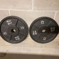 Riot Cast Iron Plates - 15KG di Strength Shop