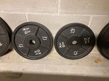 Riot Cast Iron Plates - 15KG di Strength Shop