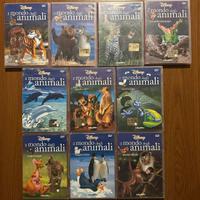 DVD bambini: barbapapà, spongebob, animali disney