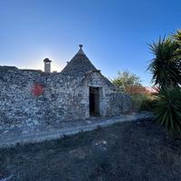 Baita/Chalet/Trullo Martina Franca [RIF.AD2409VRG]