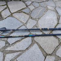 Canne da pesca Browning e Eurostar