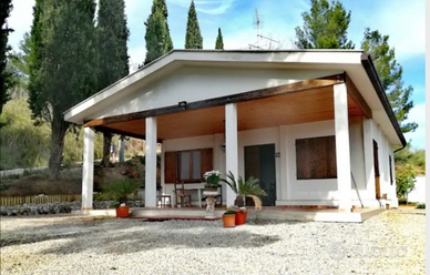 Grottammare in campagna