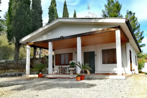 Grottammare in campagna