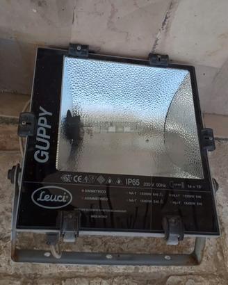 Faro leuci