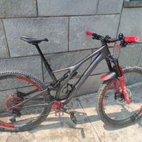 Specialized Stumpjumper 29 carbon