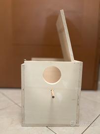 Nido di parrocchetto monaco