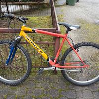 Bicicletta - Bici - Mountain Bike 