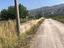Immagine 8