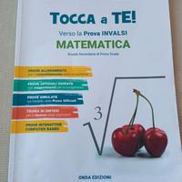 Testo di Prove Invalsi di Matematica !