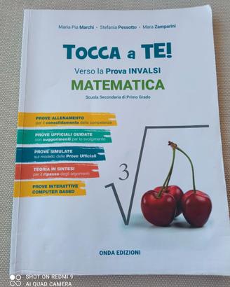 Testo di Prove Invalsi di Matematica !