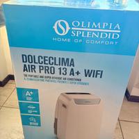 condizionatore "pinguino"