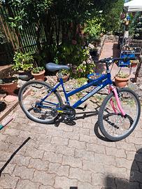 Bici mountain bike di colore blu e rosa