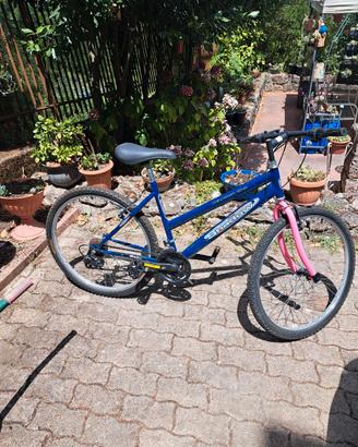 Bici mountain bike di colore blu e rosa