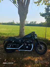 harley davidson 883xl IRON