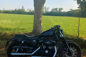 harley davidson 883xl IRON