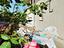 Immagine 29