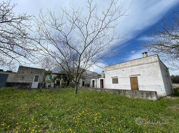 CASA DI CORTE A CEGLIE MESSAPICA