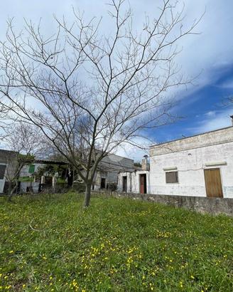 CASA DI CORTE A CEGLIE MESSAPICA