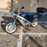 Revere ntv 650 d'epoca asi da vetrina