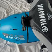 ACQUASCOOTER YAMAHA RDS 250