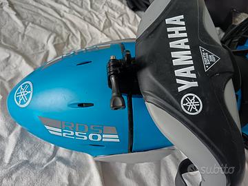 ACQUASCOOTER YAMAHA RDS 250