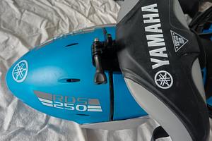 ACQUASCOOTER YAMAHA RDS 250