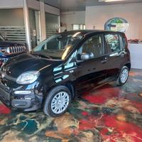 Fiat Panda 1.0 FireFly S&S Hybrid Pandina