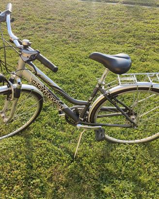 Bicicletta Olympia