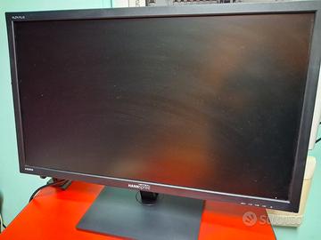monitor 