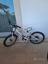 bicicletta bambino 20 pollici 