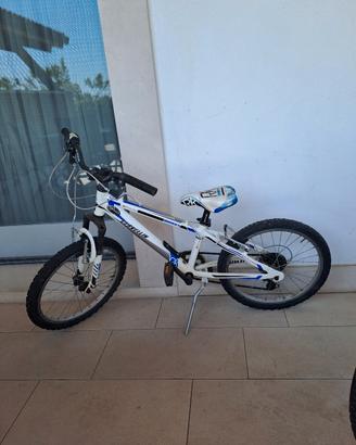 bicicletta bambino 20 pollici 