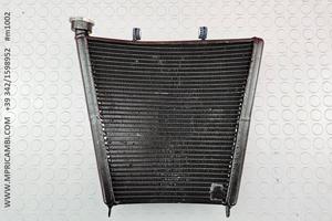 RADIATORE RTM IMOLA OHVALE GP pitbike mini gp