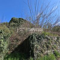 TERRENO AGRICOLO IN ZONA COLLINARE