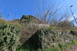 TERRENO AGRICOLO IN ZONA COLLINARE