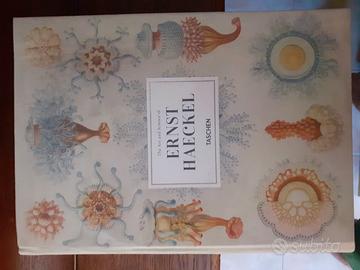 Ernst Haeckel, l'artista biologo taschen