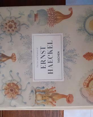 Ernst Haeckel, l'artista biologo taschen